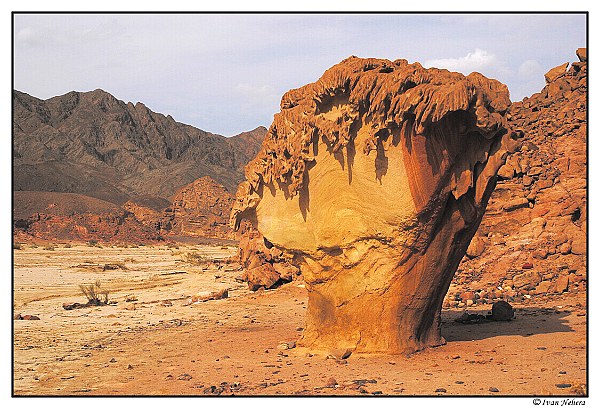 Sinai 02