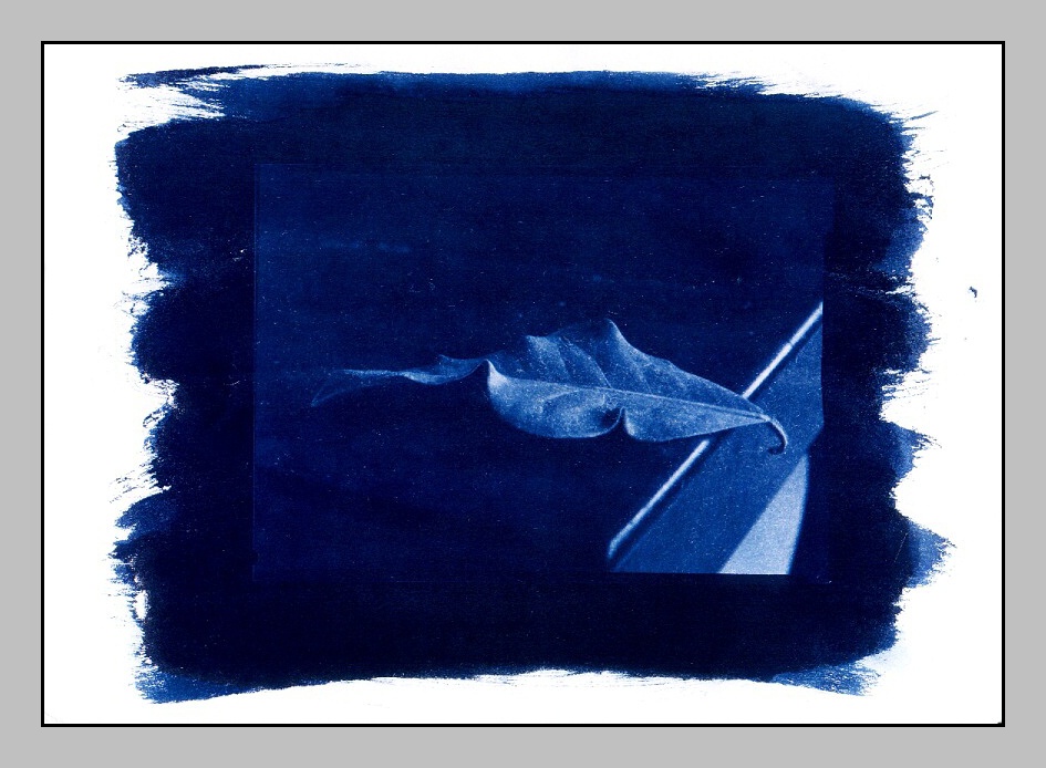 Zti cyanotype