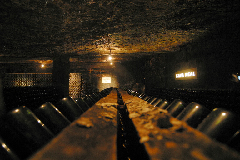 KATALNSKO FREIXENET SKLEPY