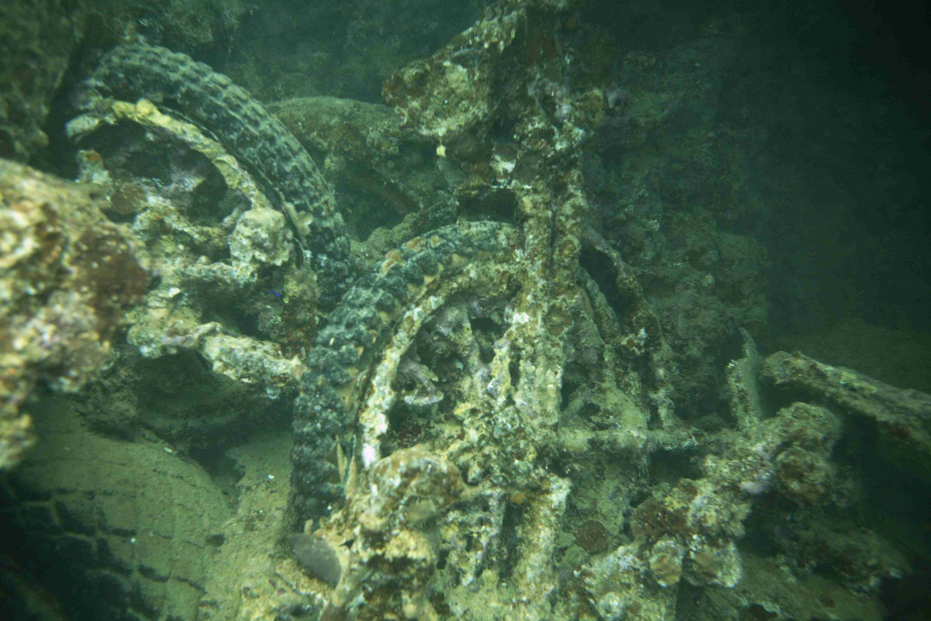 Thistlegorm (3).jpg
