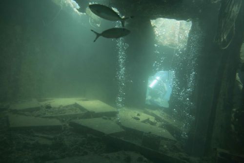 Thistlegorm (4).jpg