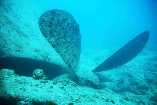 Thistlegorm (5).jpg