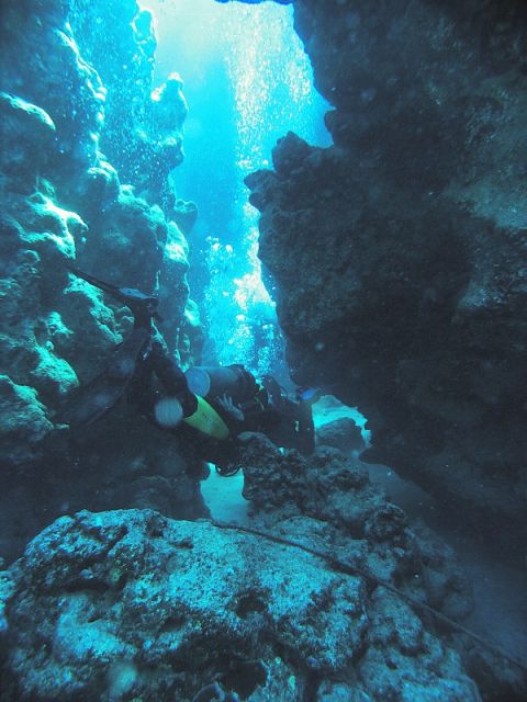 Red sea Marsa Alam