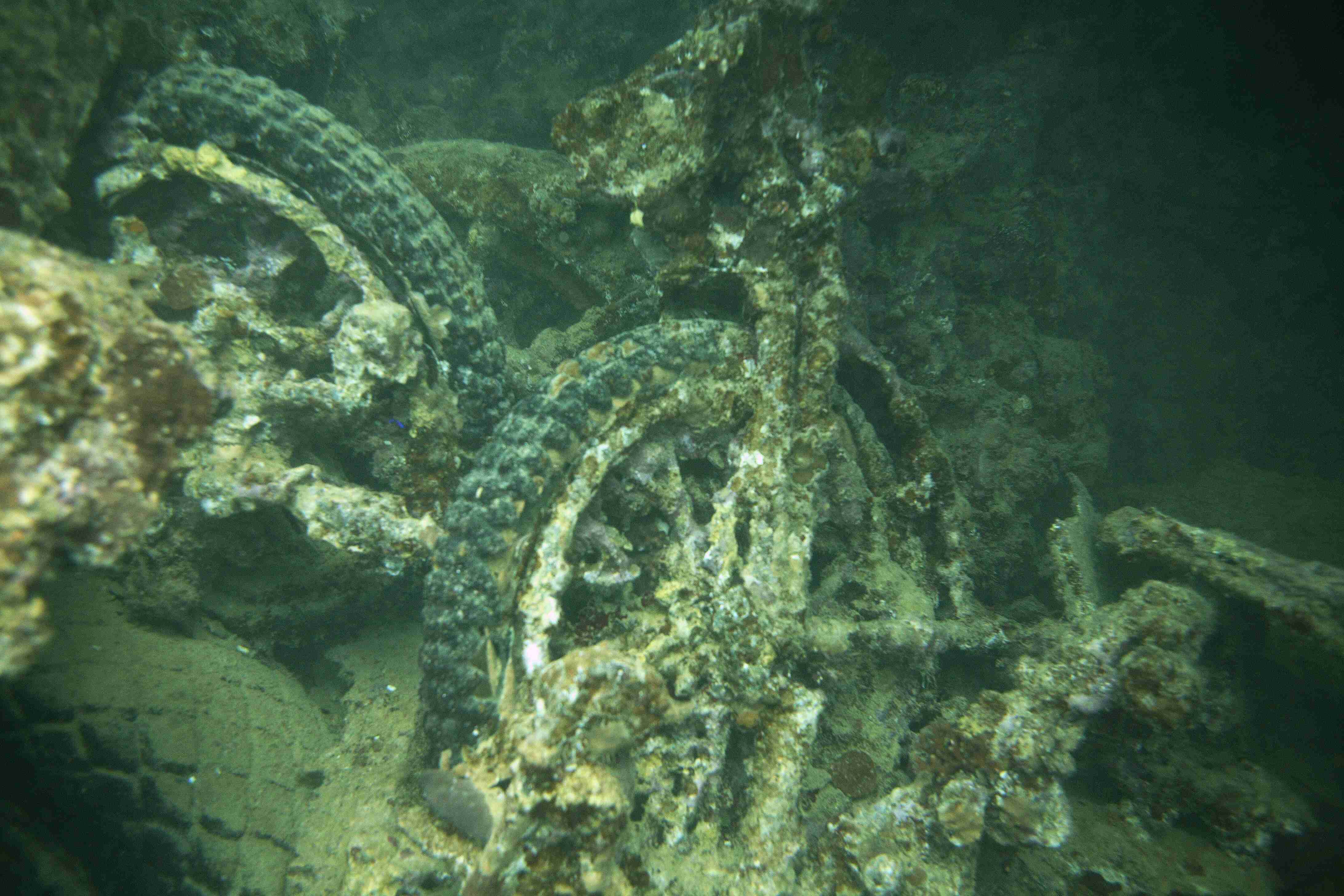 Thistlegorm (3).jpg