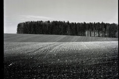 bw-vystava002
