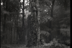 bw-vystava004