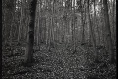 bw-vystava007
