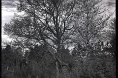 bw-vystava009
