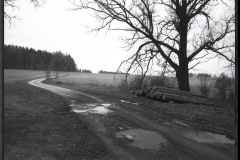 bw-vystava011