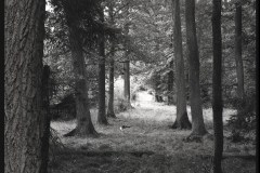 bw-vystava012
