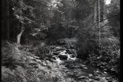 bw-vystava013
