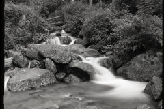 bw-vystava016