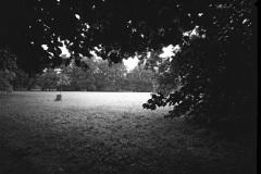 wnegativ004