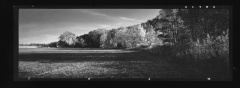 panorama010